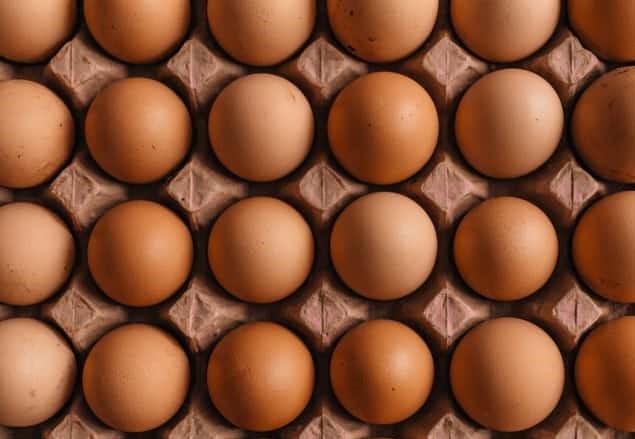 huevos para incubar con el extremo puntiagudo hacia abajo