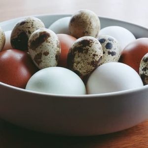 Cómo seleccionar huevos para incubar