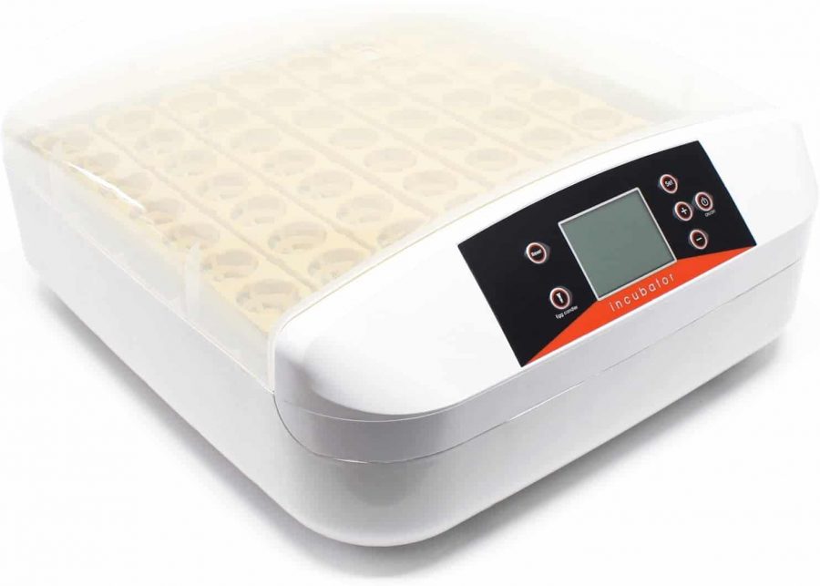 incubadora digital con ovoscopio