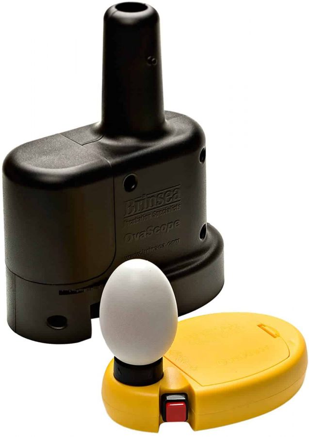 pack ovascope y linterna para ver huevos fecundados Brinsea