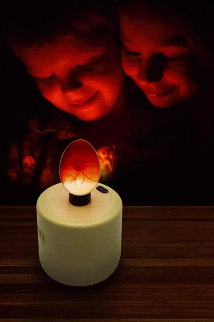 comprar ovoscopio, ovoscopio led, linterna para ver huevos fecundados